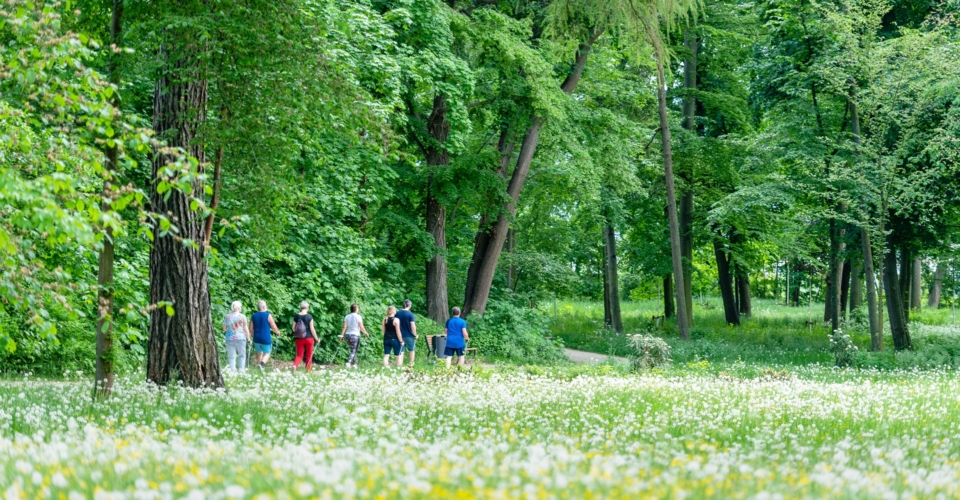 Drackendorfer Park_Wandergruppe_JenaKultur_Christopher Schmid Drackendorfer Park_Wandergruppe_JenaKultur_Christopher Schmid