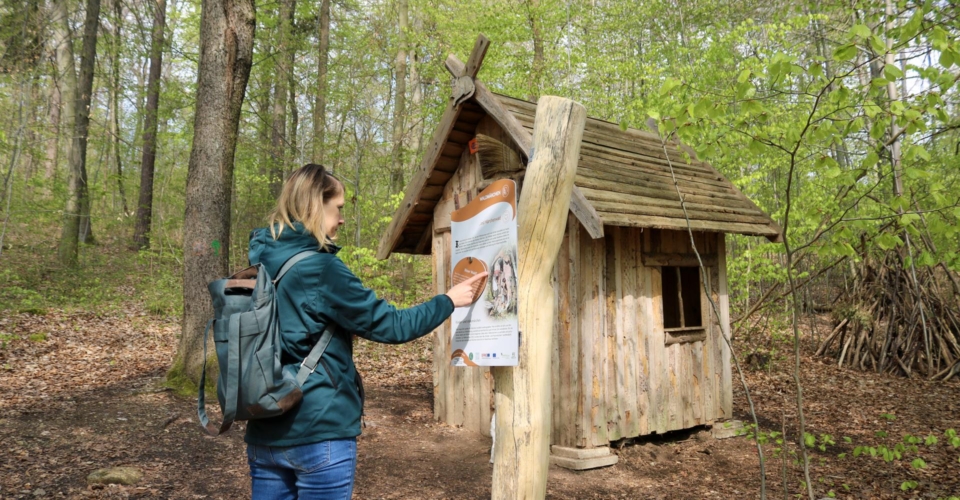 WaldPfad Schlauer Ux_JenaKultur_K.Schulz WaldPfad Schlauer Ux_JenaKultur_K.Schulz