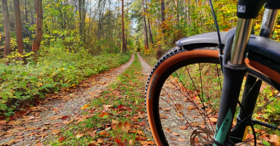 Rad_MTB Tour Cospoth(1)